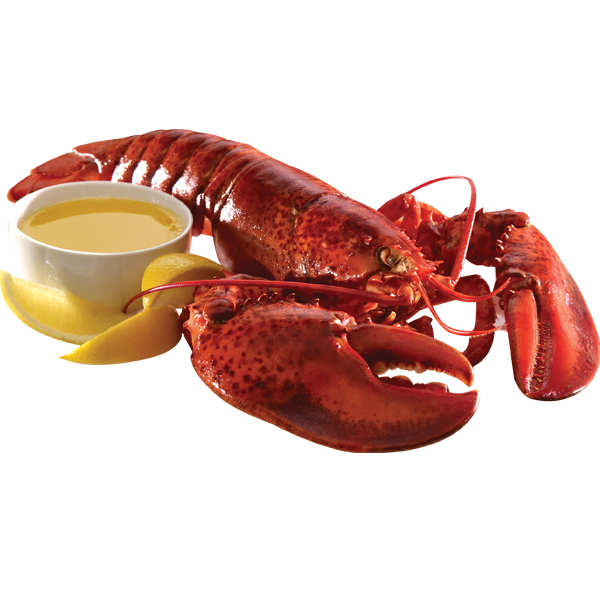 Lobster PNG Free Download 21