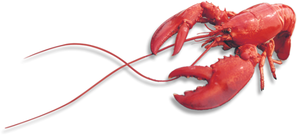 Lobster PNG Free Download 27