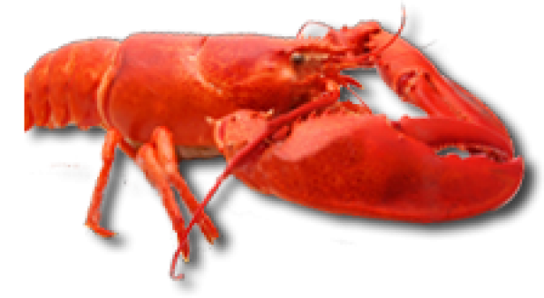 Lobster PNG Free Download 28