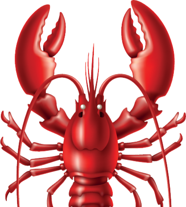 Lobster PNG Free Download 31