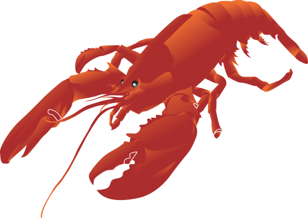 Lobster PNG Free Download 37