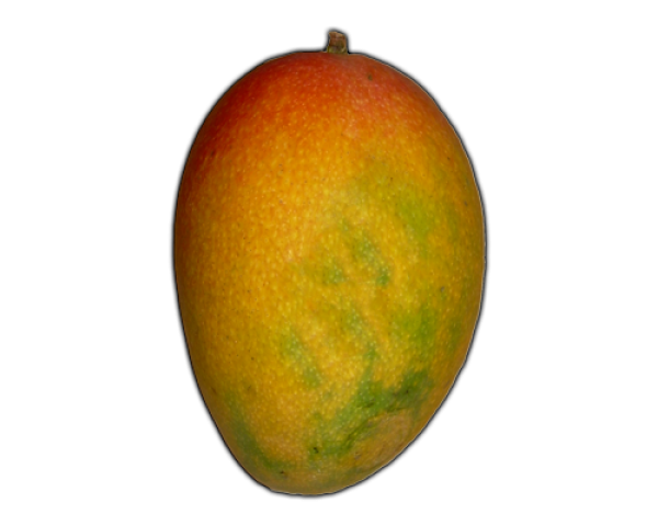 Mango PNG Free Download 12