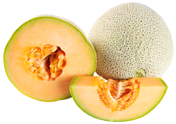 Melon PNG Free Download 23