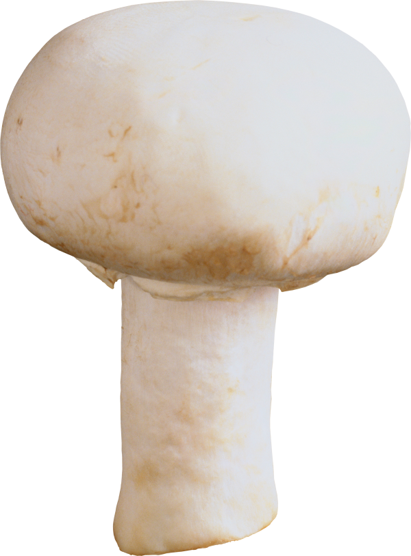 mushroom but free download png