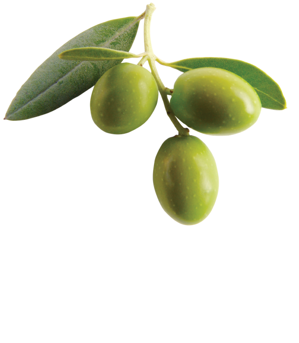 Olives PNG Free Download 27