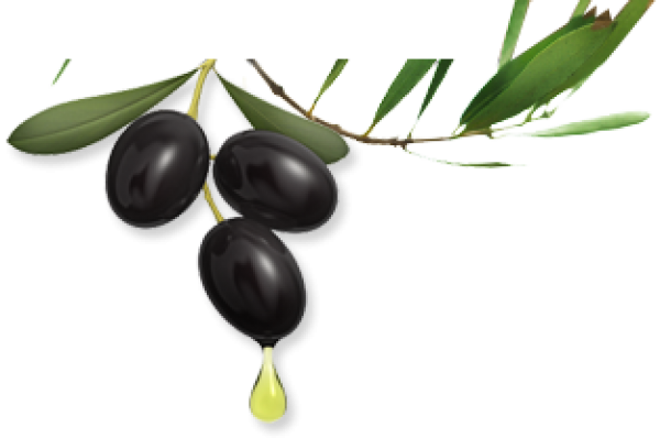 Olives PNG Free Download 32