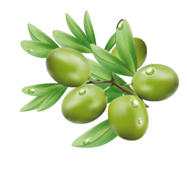 Olives PNG Free Download 38