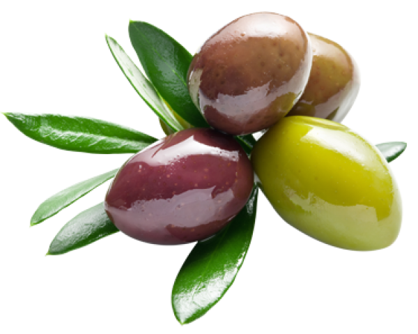 Olives PNG Free Download 46