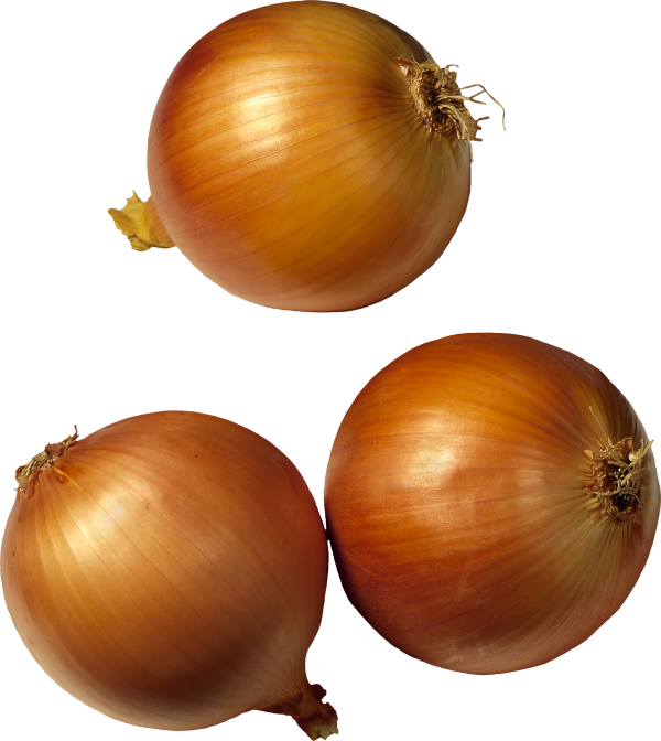 Onion PNG Free Download 1