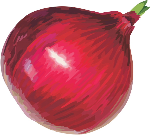 Onion PNG Free Download 12