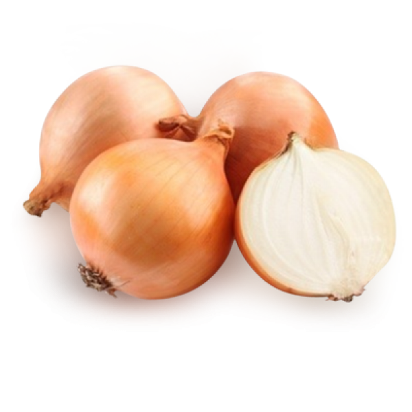 Onion PNG Free Download 17