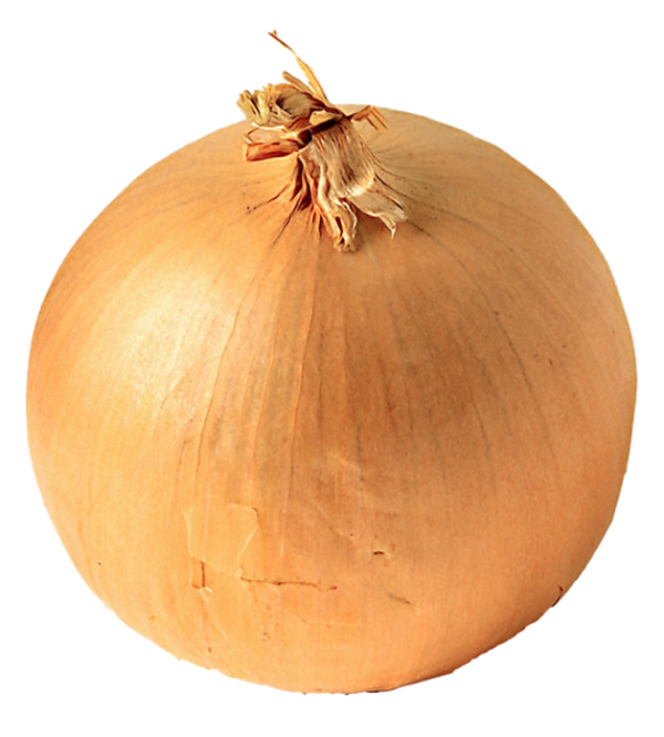 Onion PNG Free Download 18