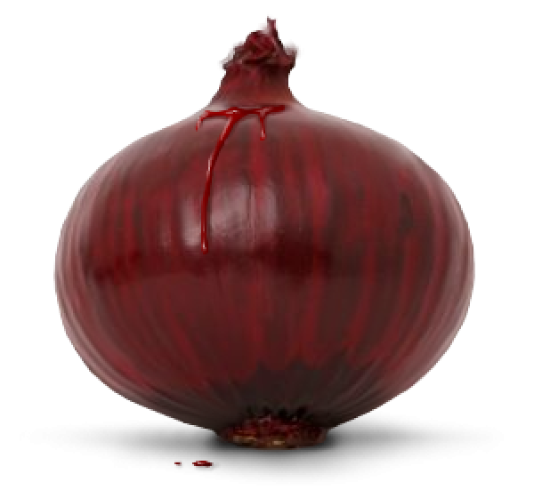 Onion PNG Free Download 19
