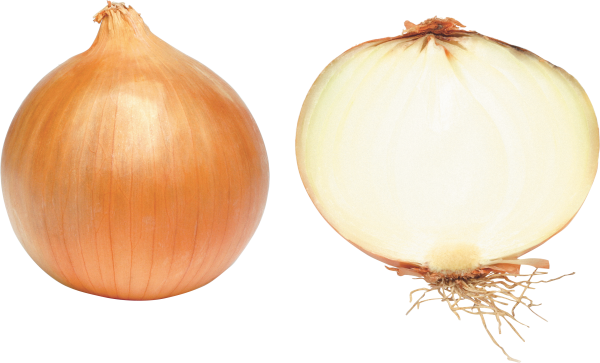 Onion PNG Free Download 2