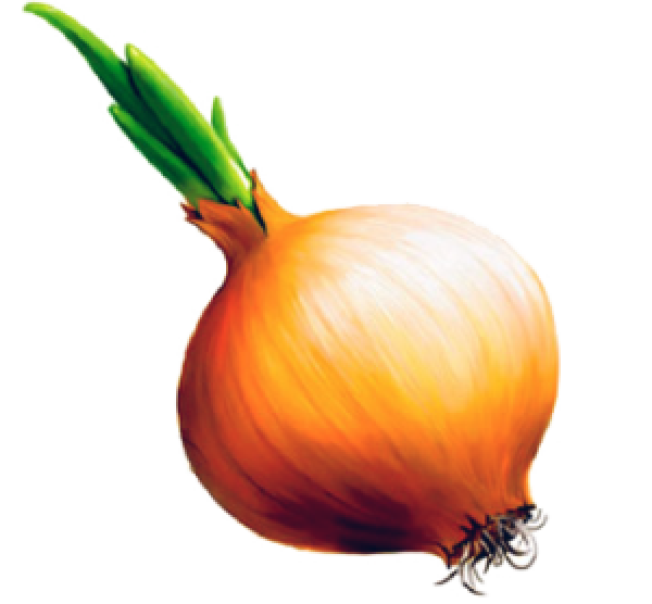 Onion PNG Free Download 20