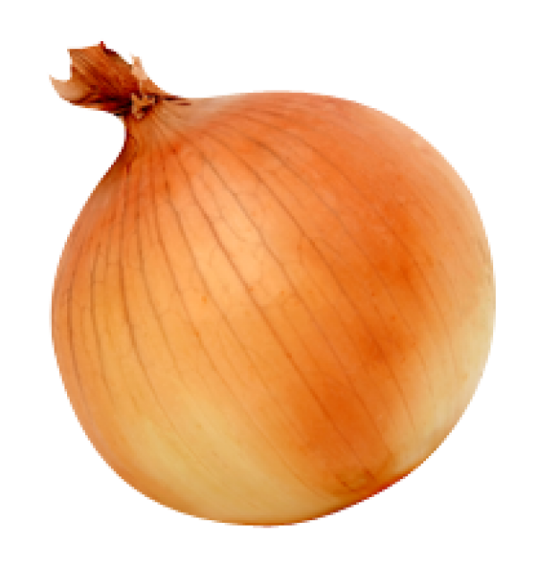 Onion PNG Free Download 21