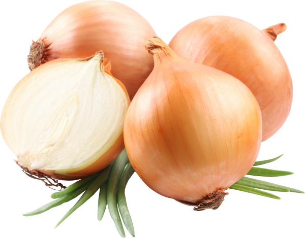 Onion PNG Free Download 23