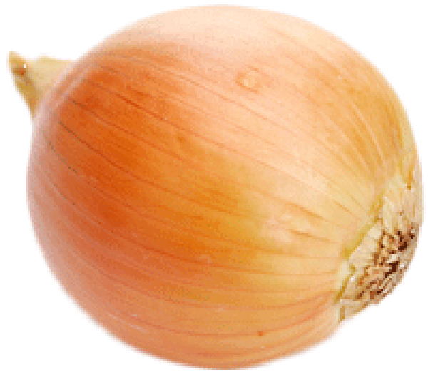 Onion PNG Free Download 25