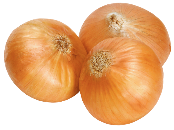 Onion PNG Free Download 26