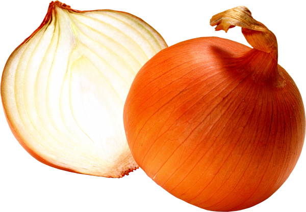 Onion PNG Free Download 4