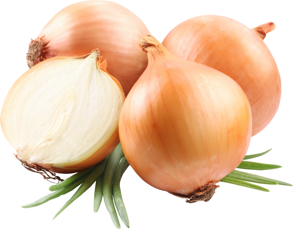 Onion PNG Free Download 5