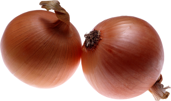Onion PNG Free Download 7
