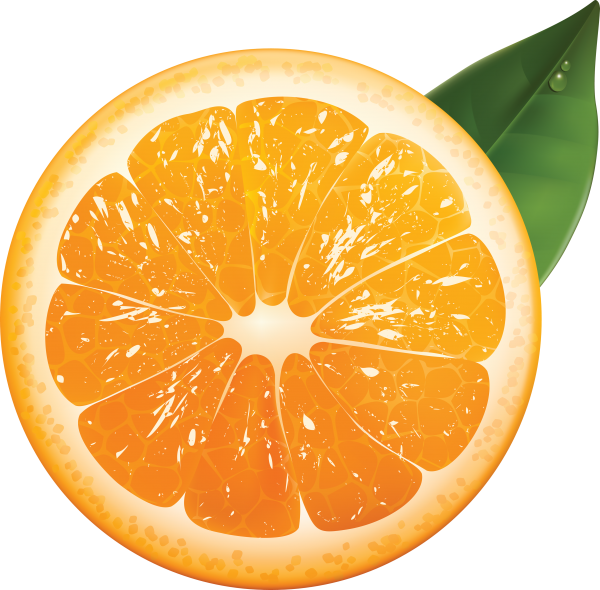 Orange PNG Free Download 21