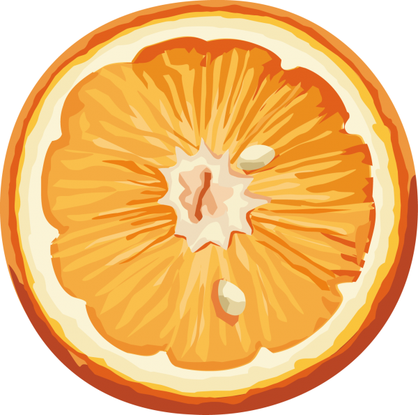 Orange PNG Free Download 3