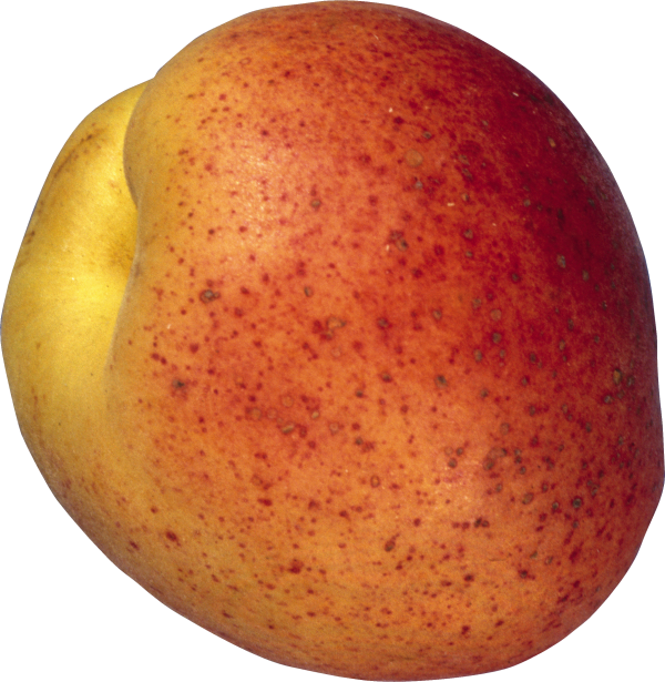 Peach PNG Free Download 10