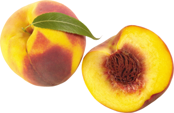 Peach PNG Free Download 14