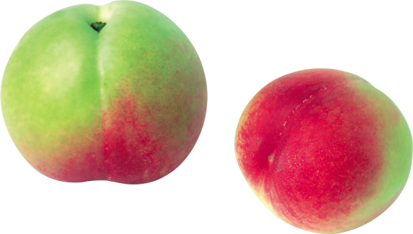 Peach PNG Free Download 17
