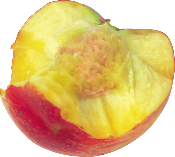 Peach PNG Free Download 18