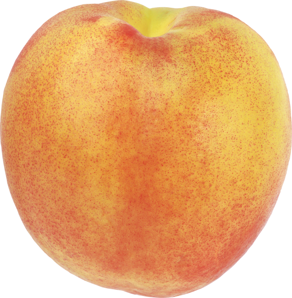 Peach PNG Free Download 19