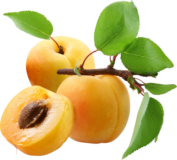 Peach PNG Free Download 2
