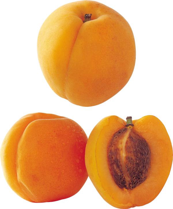 Peach PNG Free Download 21