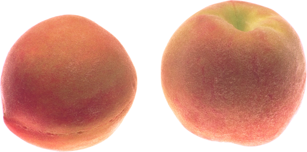 Peach PNG Free Download 22