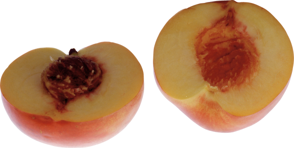 Peach PNG Free Download 23