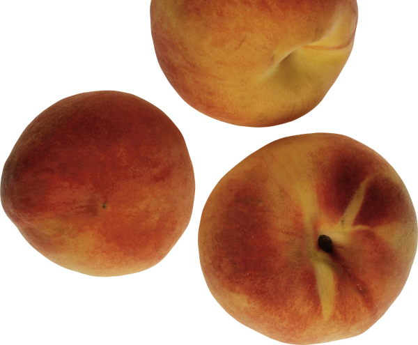 Peach PNG Free Download 24