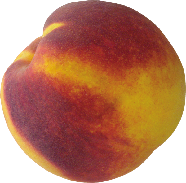 Peach PNG Free Download 28