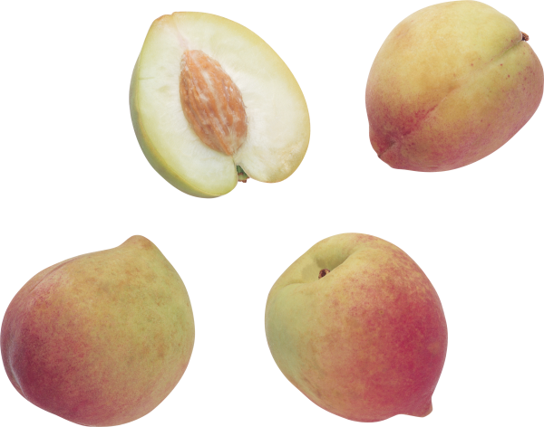 Peach PNG Free Download 29