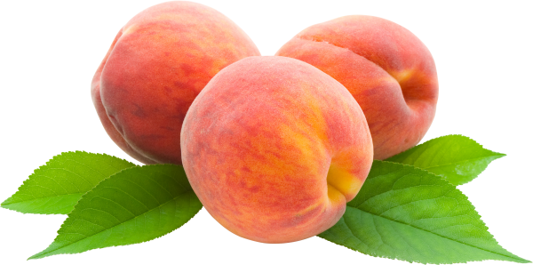 Peach PNG Free Download 30