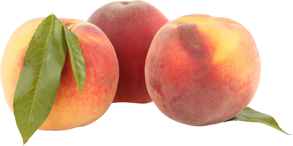 Peach PNG Free Download 31