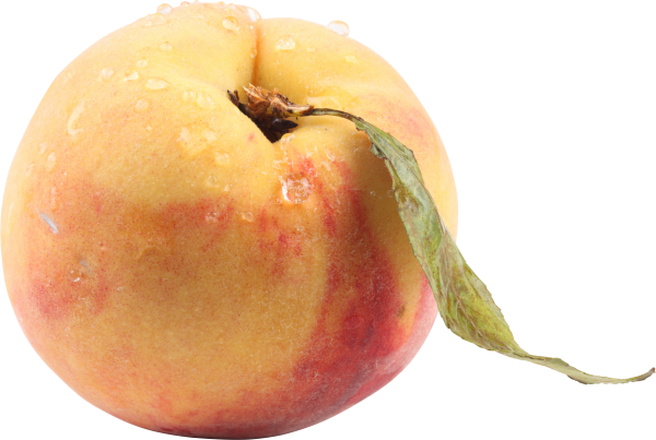 Peach PNG Free Download 32
