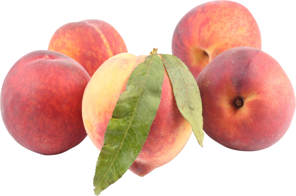 Peach PNG Free Download 33