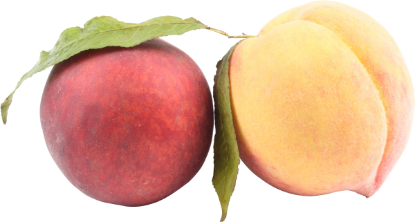 Peach PNG Free Download 34