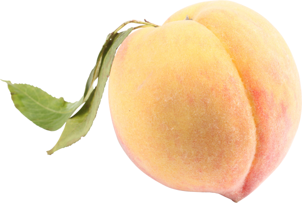 Peach PNG Free Download 35