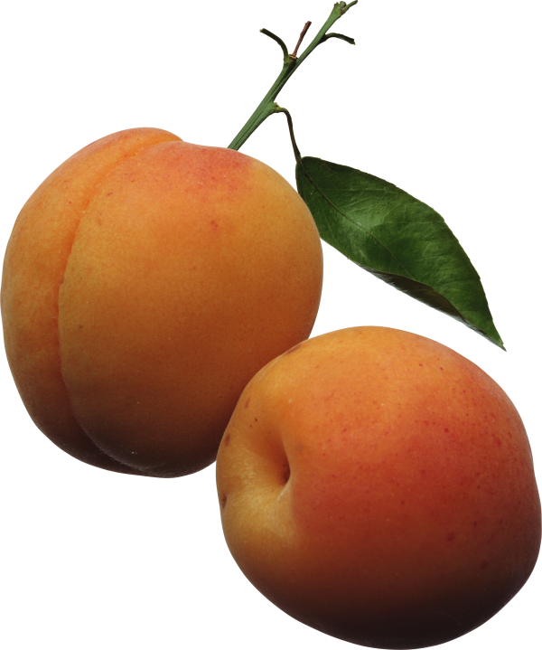 Peach PNG Free Download 4