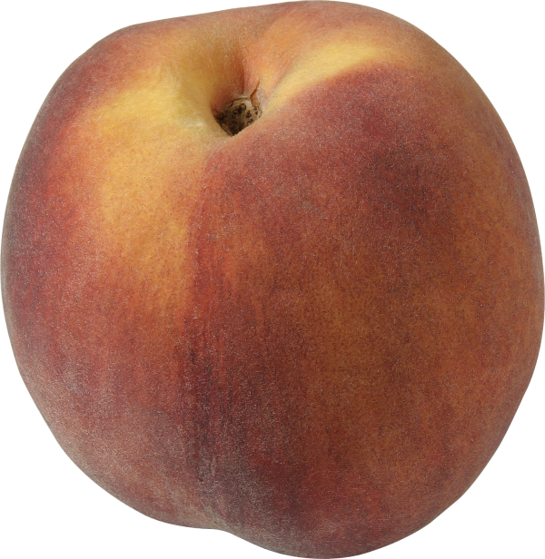 Peach PNG Free Download 40