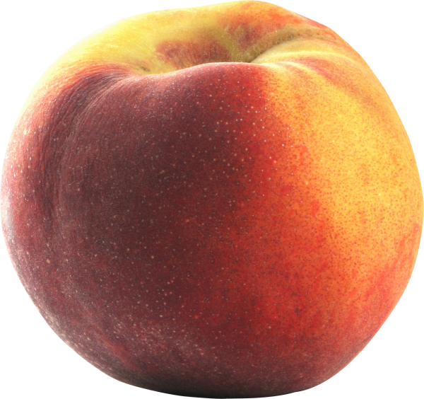 Peach PNG Free Download 45