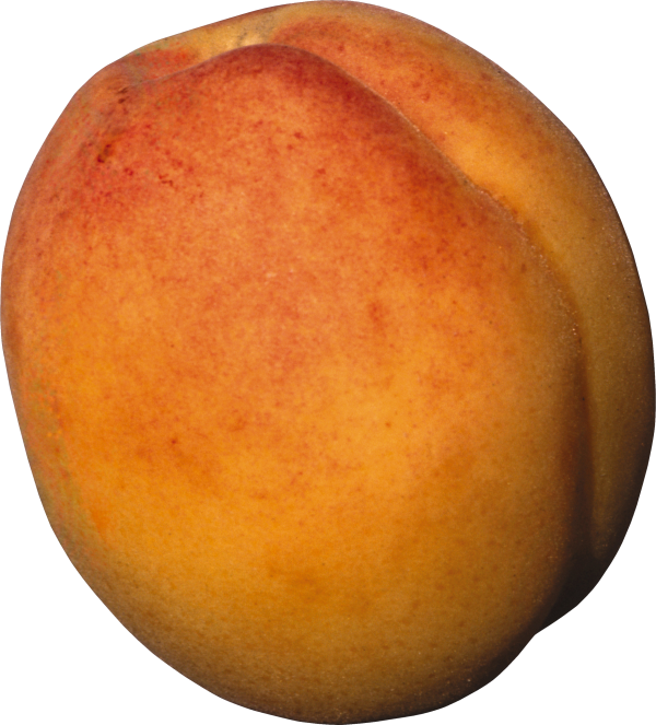 Peach PNG Free Download 5